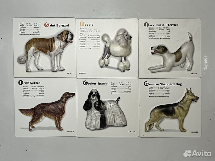 Выпуклые магниты с породистыми собаками