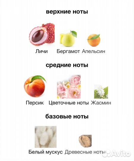 Attar collection Azora