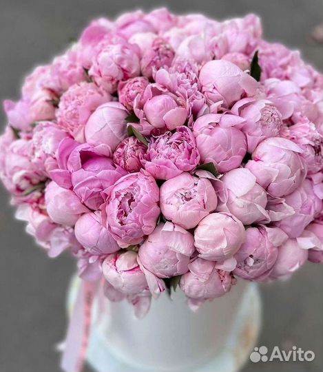 Пионы Букет пионов