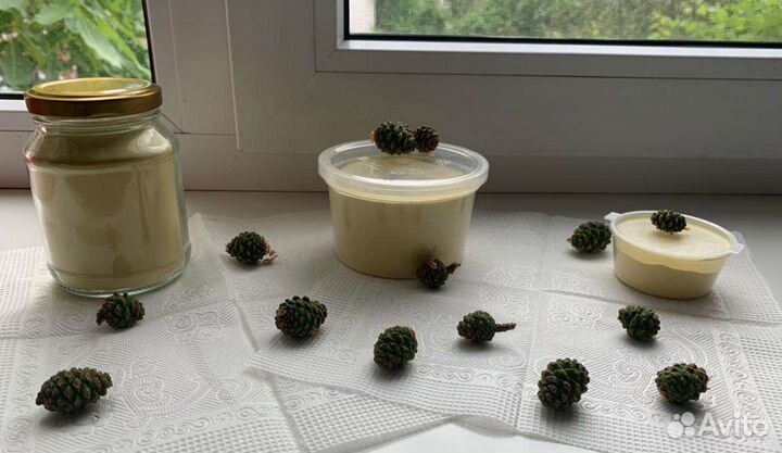 Сосновая пыльца