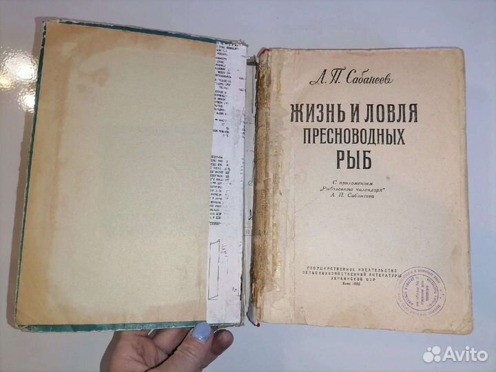 Жизнь и ловля пресноводных рыб