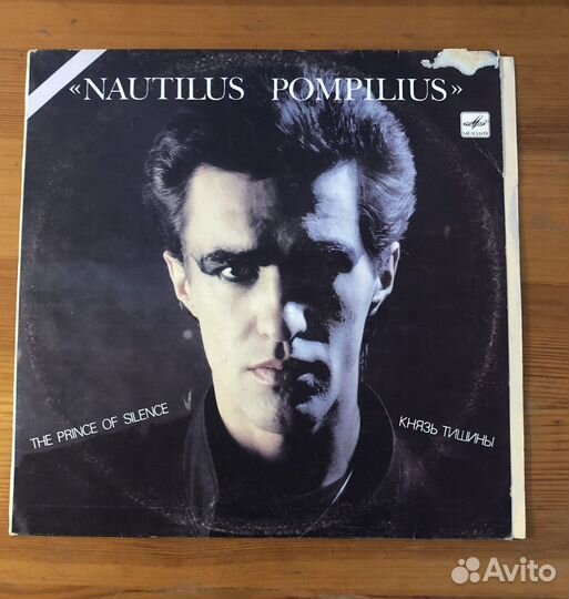 Виниловая пластинка