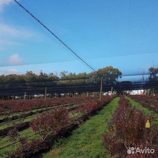 Сетка для защиты сельхозпродукции 60г/м2