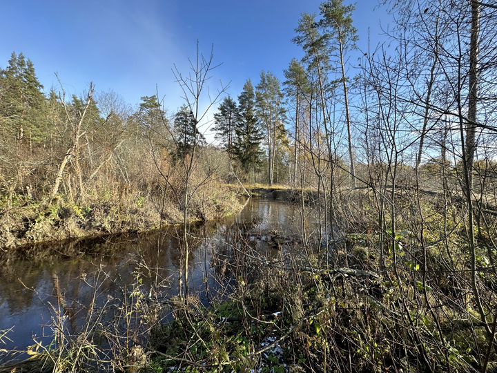 Участок 10,5 сот. (СНТ, ДНП)