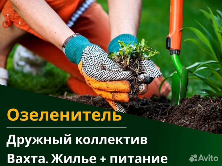 Вахта 60/30 Жильё питание (Озеленитель )