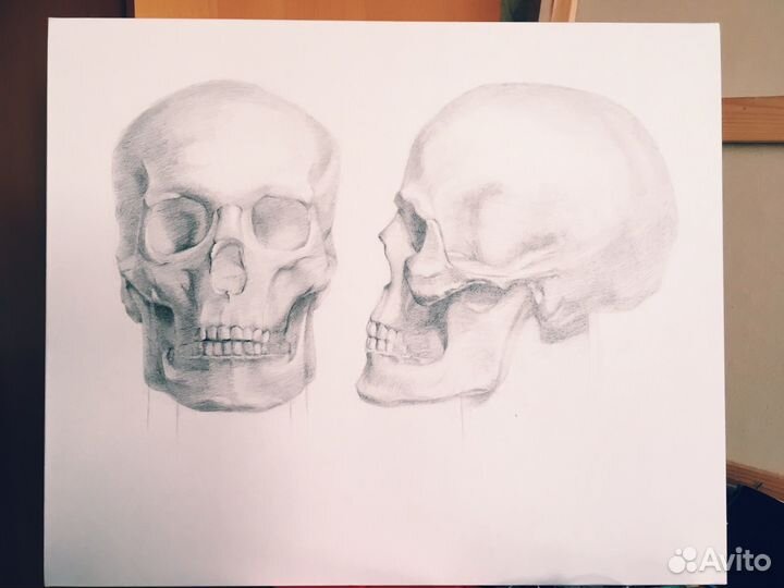 Репетитор по рисунку и живописи