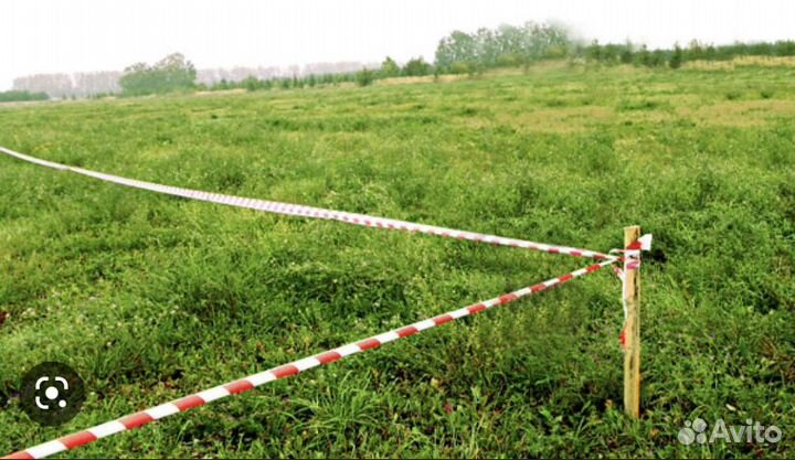 Геодезист, Вынос границ участка