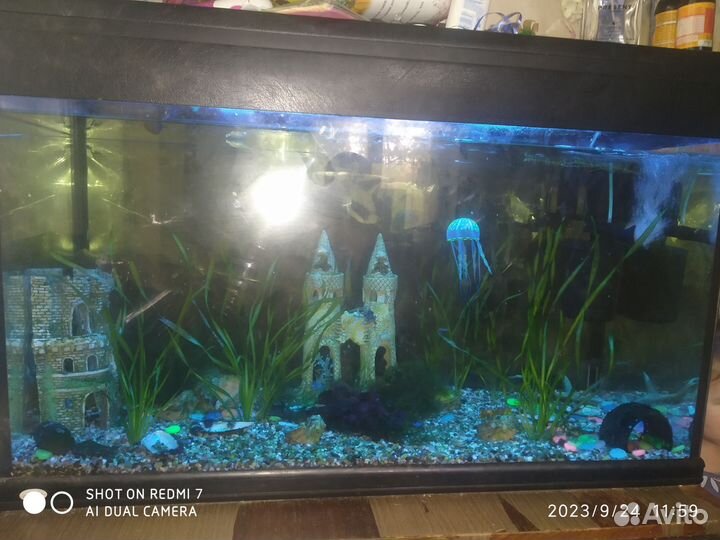 Аквариум 200 л