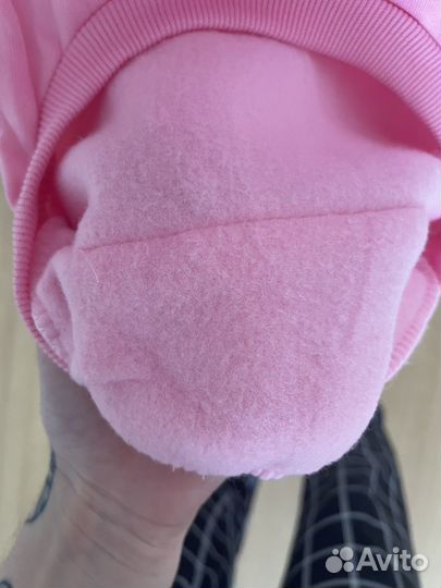 Одежда для собак