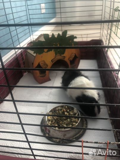 Клетка для грызунов и кроликов