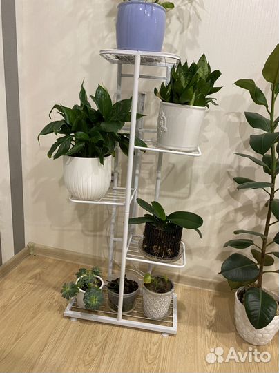 Подставка стойка полка для растений цветов
