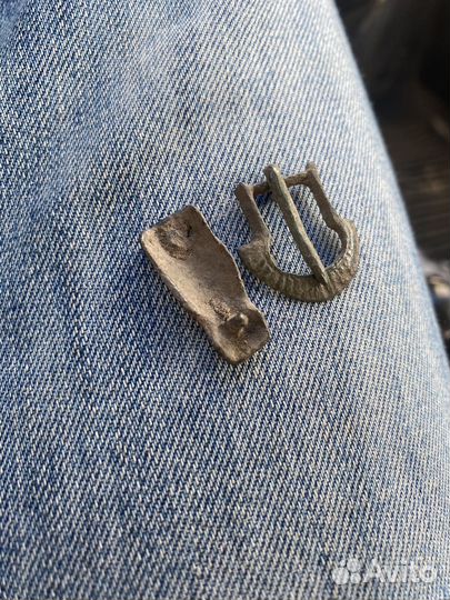 Домонгол копанина зверь