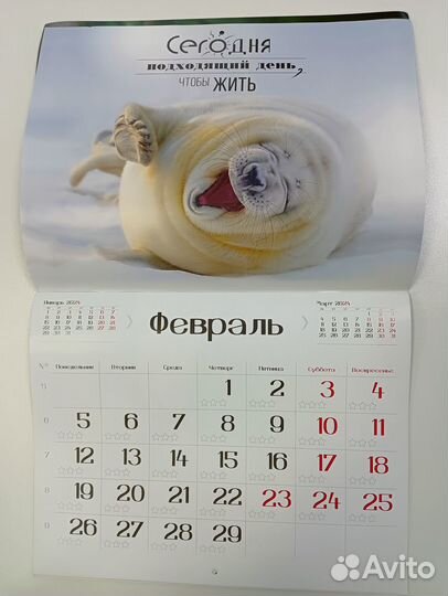 Календарь настенный 2024