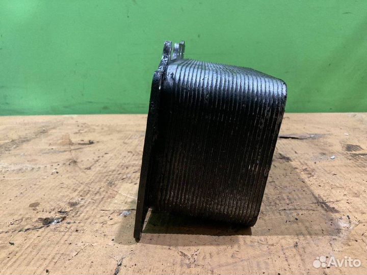 Радиатор маслянный DAF XF105