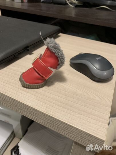 Продам ботинки для собак Размер 2