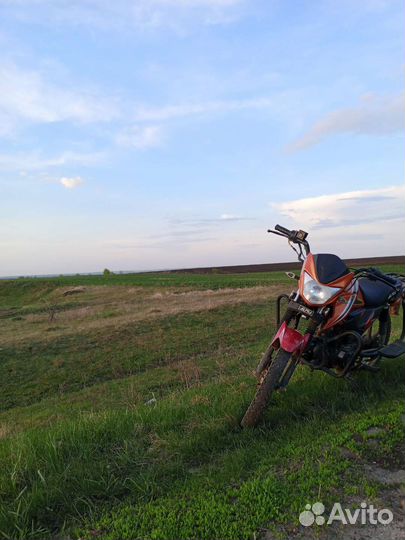 Альфа RS 12 sport