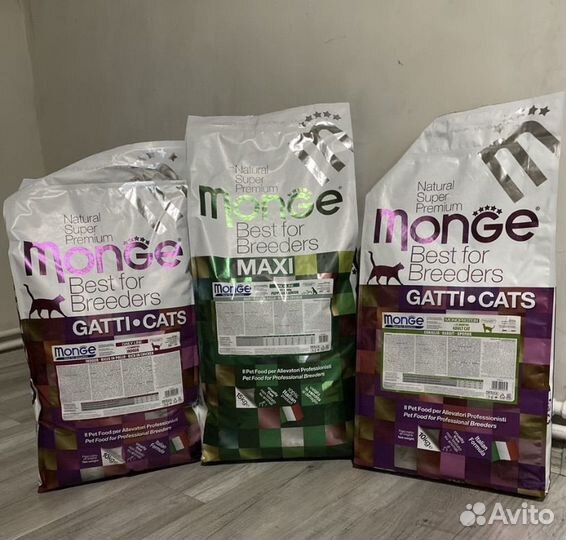 Корм для кошек и собак