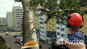 Спилим дерево