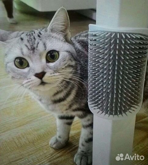 Чесалка-кусалка для кошек