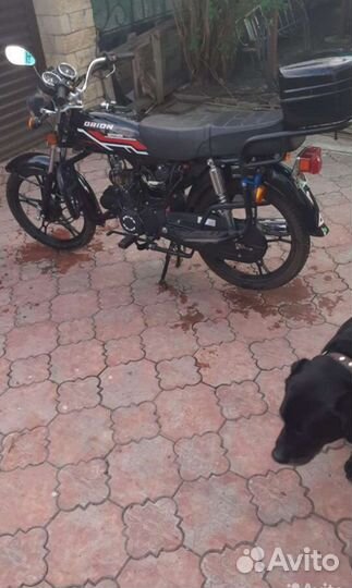 Продаю Орион