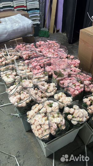 Цветы оптом в г. Белгород