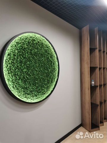 Мох стабилизированный круг из мха фитокартина