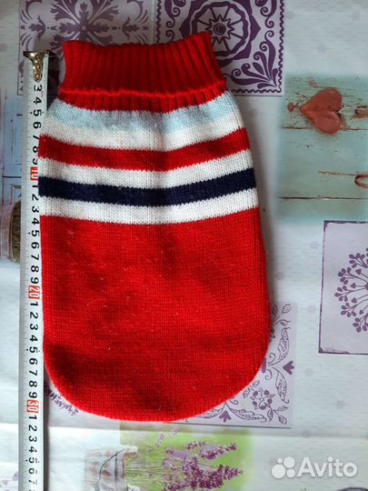 Одежда для животных