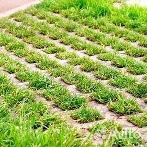 Укладка газона