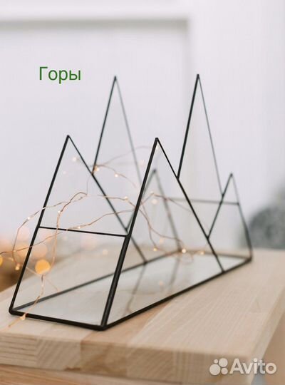 Флорариум новый