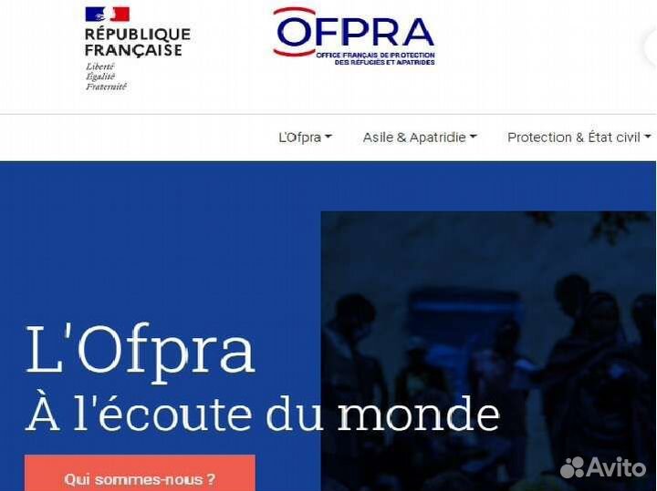 Коуч для просителя убежища