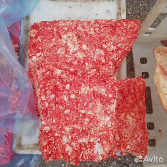 Корм для собак кошек курей