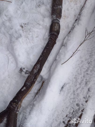 Выхлоп,глушитель bmw 5 e39