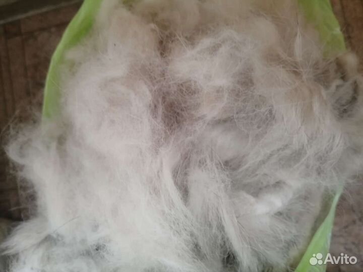 Собачья шерсть. варежки