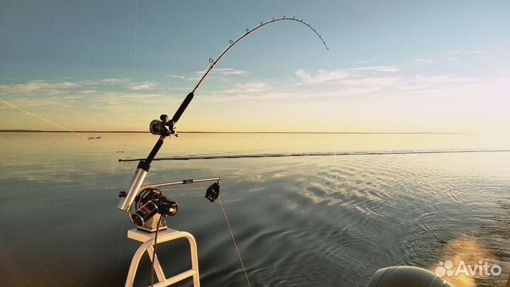Рыбалка на катере, троллинг. Аренда катера