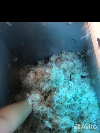 Чистка перьевых подушек