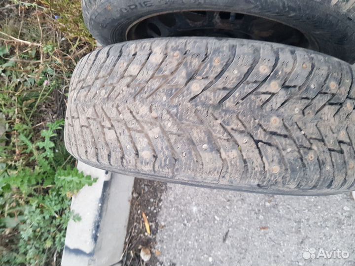 Nokian Tyres Hakkapeliitta 8 205/60 R16 98