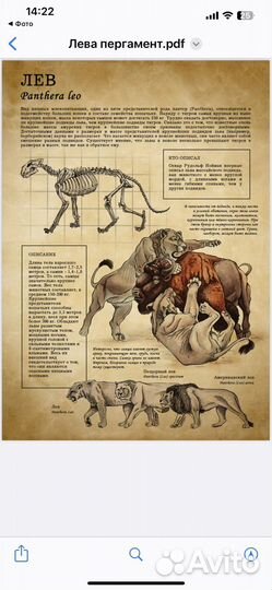 Обучающий материал для детей и их родителей