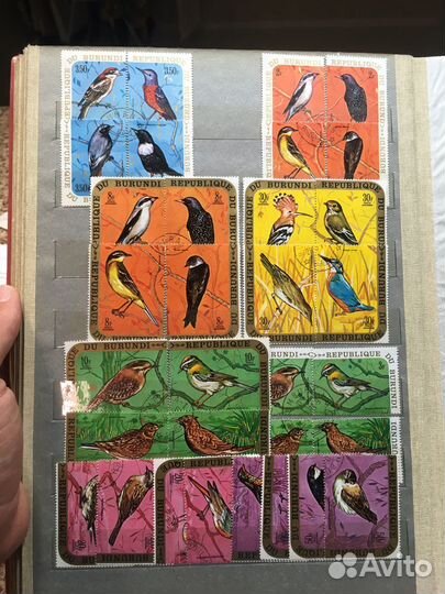 Кролекция Фауны Бурунди Африка