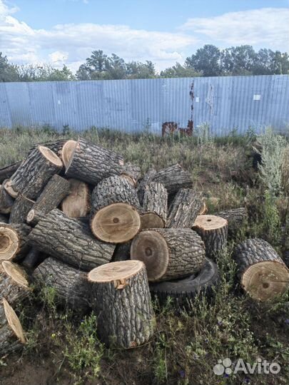 Дрова дубовые колотые