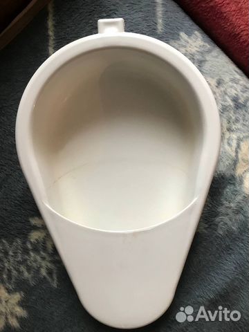 Утка медицинская