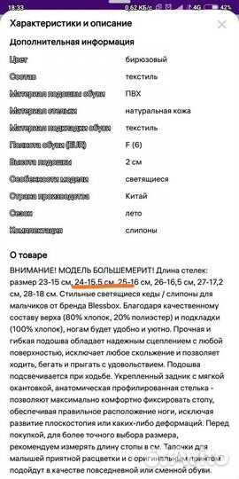 Детская обувь кеды слипоны