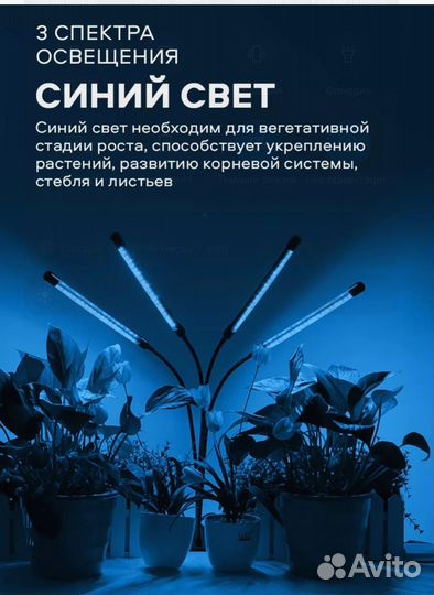 Фитолампа для растений