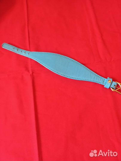 Одежда для животных