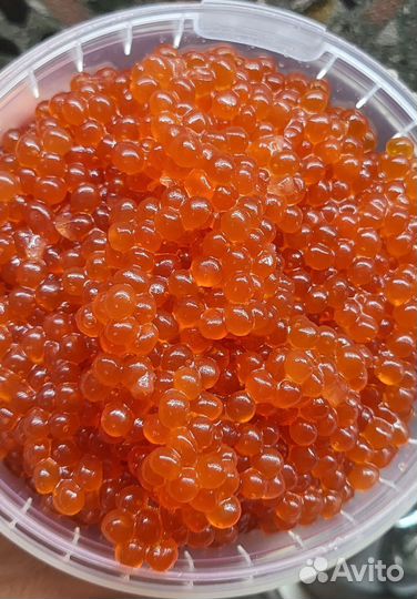 Красная икра 1 кг