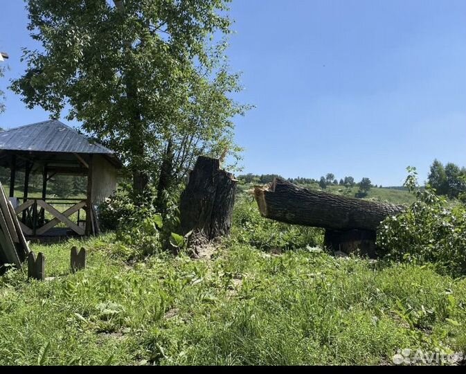 Спил деревьев