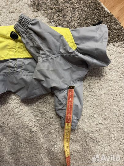 Дождевик для маленькой собаки