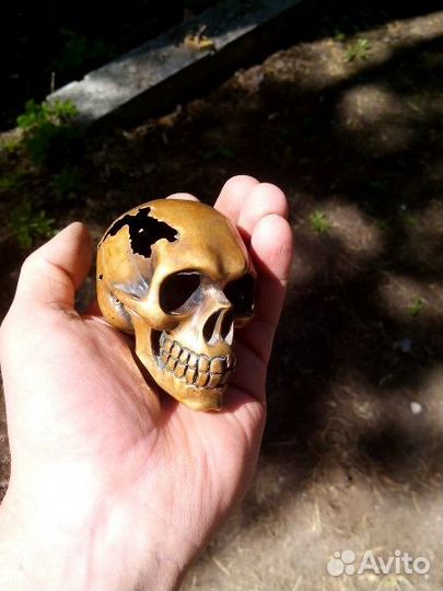 Бронзовый череп