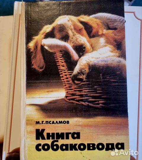 Книги про кошек и собак
