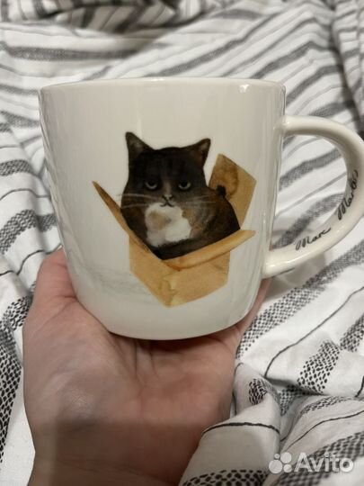 Кружка фарфор Maxwell Williams (Cat in a Box)