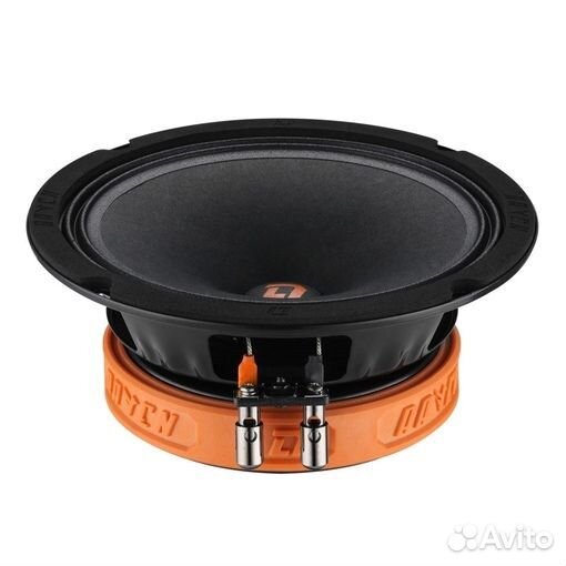 DL Audio Raven 165